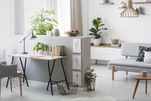immobilier-image-3
